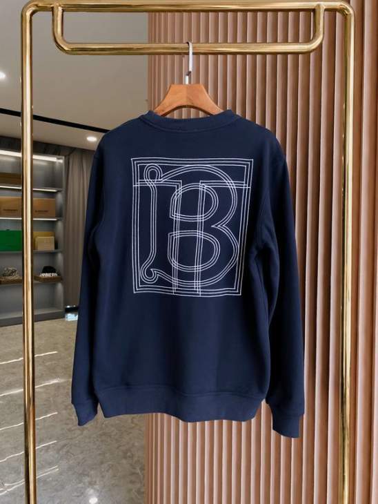 Picture of Burberry Sweatshirt _SKUBurberryS-2XLaztx873830991